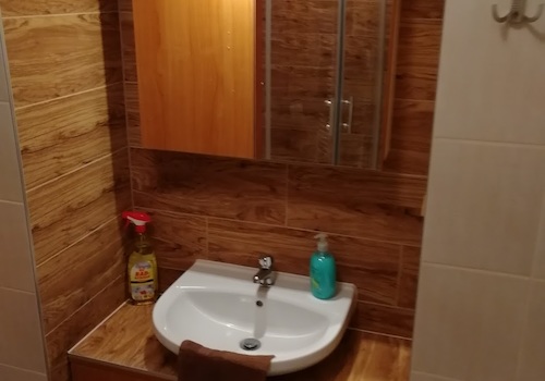 Část koupelny s umyvadlem - levné ubytování Hradec Králové, Skalice